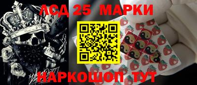 бошки Гатчина