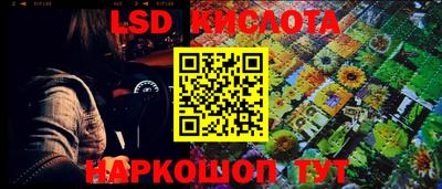 ПСИЛОЦИБИНОВЫЕ ГРИБЫ Гусев