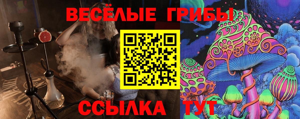 Канабис  Гашиш  МЕФ   Вход с VPN  ЭКСТАЗИ  Зеленогорск  Канабис  ГАШИШ 